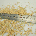 white broom corn millet(white broomcorn millet)